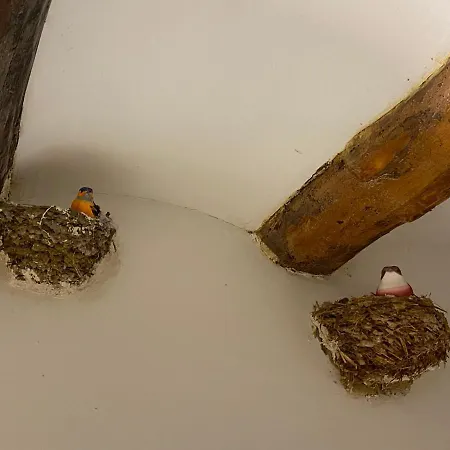 Casa Molinero Apartamento Abiego