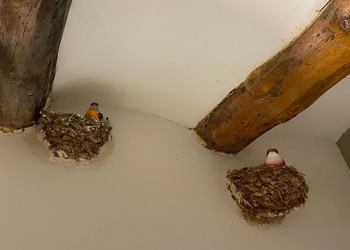 Casa Molinero Lägenhet Abiego